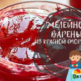 Džem z červeného rybízu 5 minut na zimu